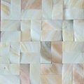 natural Shell mosaic wall panel