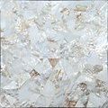White seashell seamless mother of pearl panel  