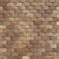 Chinese coconut mosaic 12'' *12''
