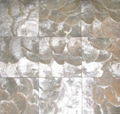 capiz shell Wall paper panel, shell veneer