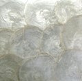 capiz shell Wall paper panel, shell veneer