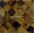 Brown color Sea Shell tile mosaic