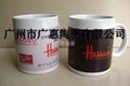 Hot and cold color temperature Cup Cup 3