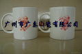 Thermal  color changing mugs 5