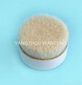 sell 51mm chungking white bristle   4