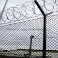 Wire Mesh Fence Welded Wire Mesh Fence Welded Mesh Panel Fence 