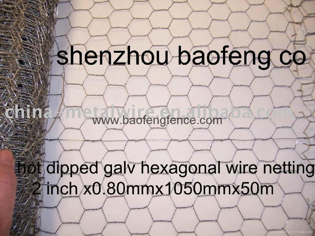 hexagonal wire netting Hexagonal Wire Mesh  chicken wire galvanised wire netting 5