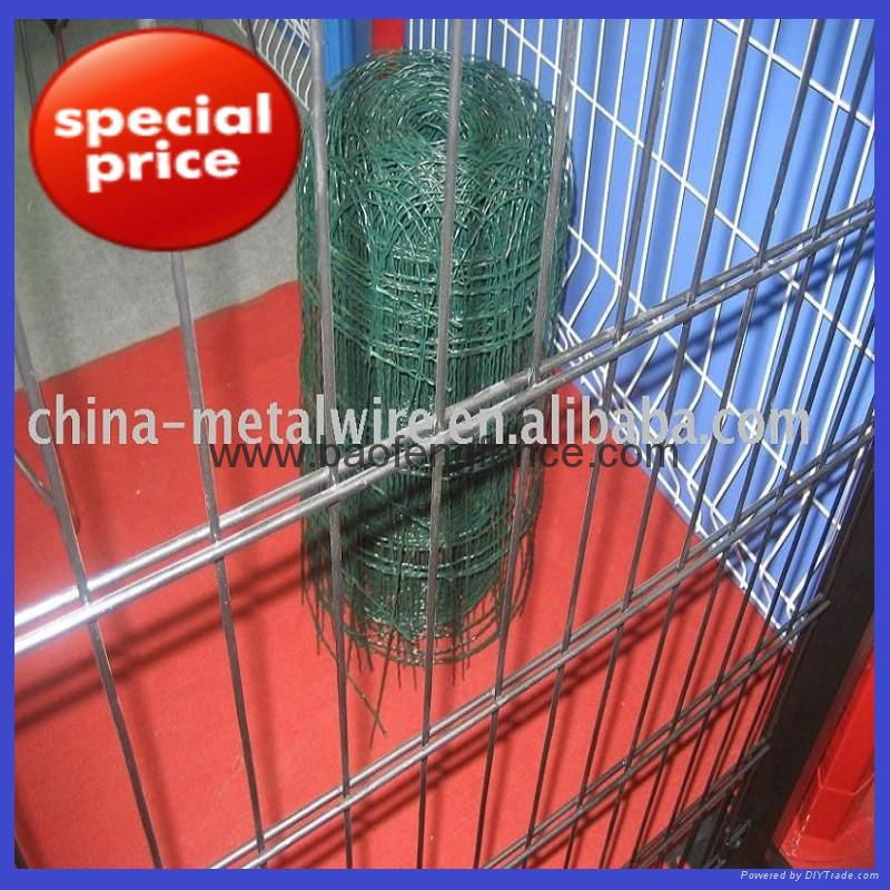 Double Wire Fence Double Wire Welded Fence Panel (Factory Exporter) 5