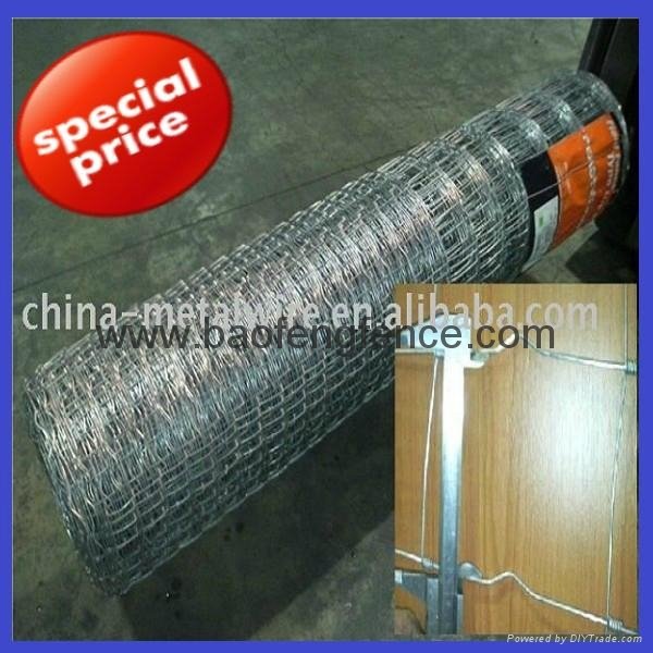 Field Fence sheep wire cattle fence stock fence hinged joint fence  4