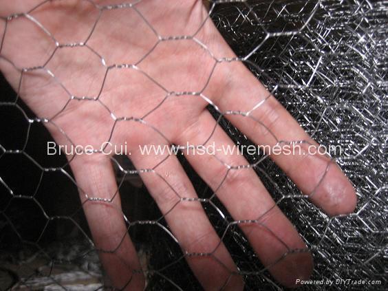 hexagonal wire netting Hexagonal Wire Mesh  chicken wire galvanised wire netting