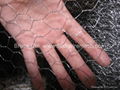 hexagonal wire netting Hexagonal Wire