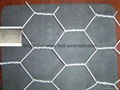 hexagonal wire netting Hexagonal Wire Mesh  chicken wire galvanised wire netting 2