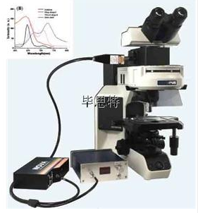 顯微分光光度計/顯微光譜系統/顯微紅外光譜儀