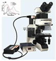 显微分光光度计/显微光谱系统/