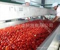 Turnkey solution for tomato processing line 3