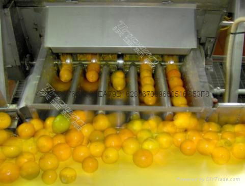 Citrus processing line 3