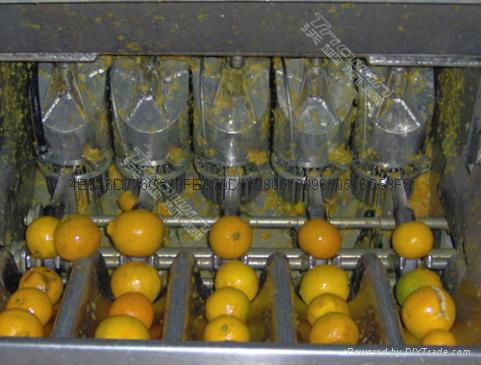 Citrus processing line 4
