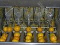 Citrus processing line 4