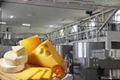 Cheese production line