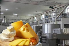  Cheese production line