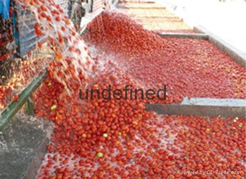 fruit processing equipmment