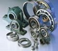 gub bearing taper roller bearing 30205 33205 33115 32205