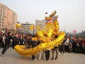 Chinese dragon dance