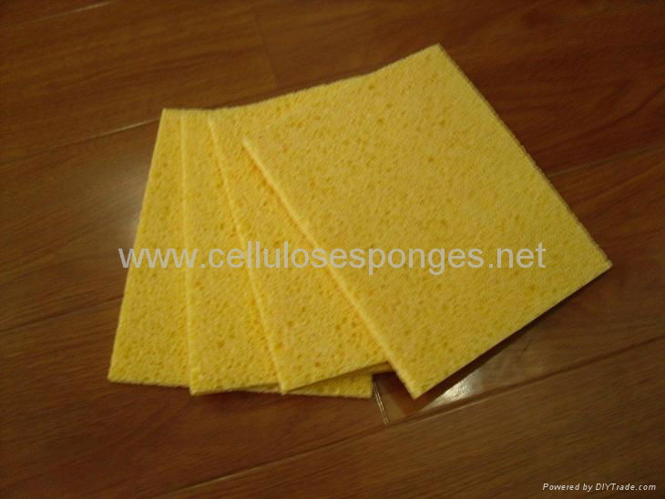 biodegradable sponge cloth