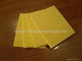 biodegradable sponge cloth