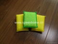  kitchen sponge 2