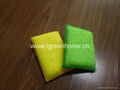  kitchen sponge