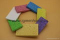 biodegradable sponge 