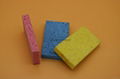 biodegradable sponge  4