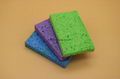 biodegradable sponge  5