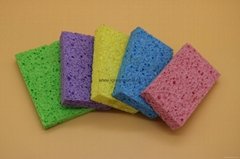 biodegradable sponge 