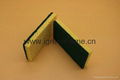 biodegradable cellulose sponge pad 2