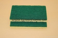 biodegradable cellulose sponge pad