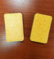 natural sisal fiber biodegradable sponge 