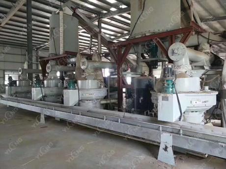 XGJ850WOOD PELLET MILL 3