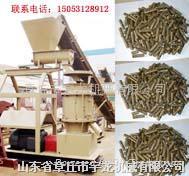中國宇龍牌秸杆顆粒機 4