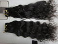 Wholesale factory price Indian curly