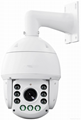 IP speed dome  2mp  