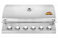 6 burner BUILT IN GAS BBQ GRILL 1