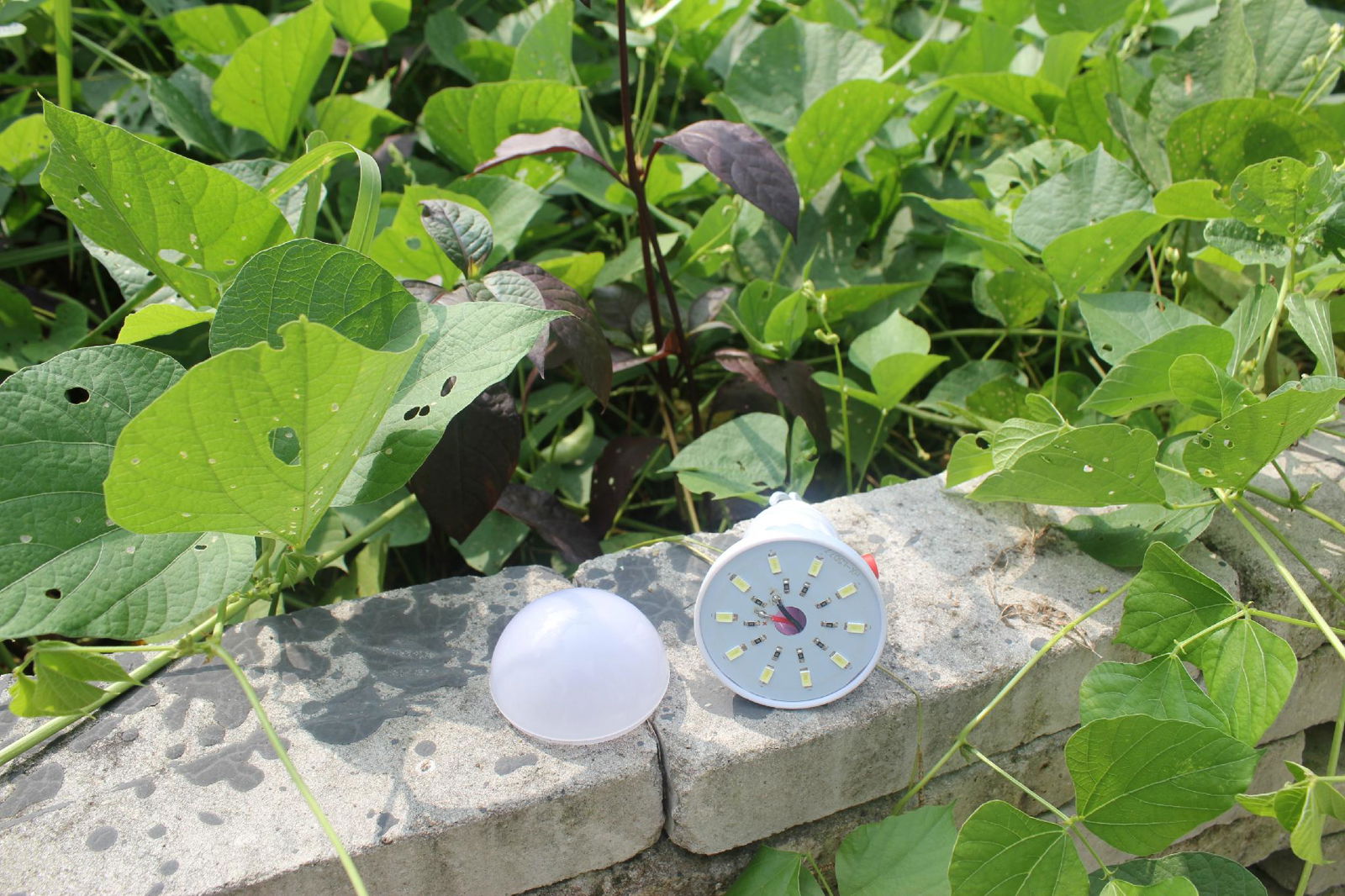 SOLAR LED BULB LIGHT 4