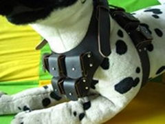 Dog Weight Harness