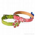 dog collar 1