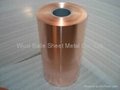 Copper Foil 1