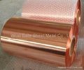 Copper Foil 4