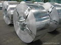 hot dipped galvanized steel strip