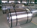 Hot dipped galvanized coil 1